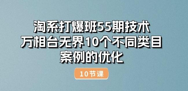 淘系打爆班55期技术：万相台无界10个不同类目案例的优化(10节)-猴哥VIP资源站