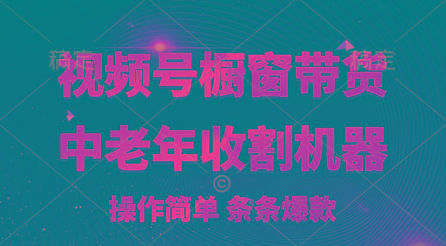 [你的孩子成功取得高位]视频号最火爆赛道，橱窗带货，流量分成计划，条…-猴哥VIP资源站