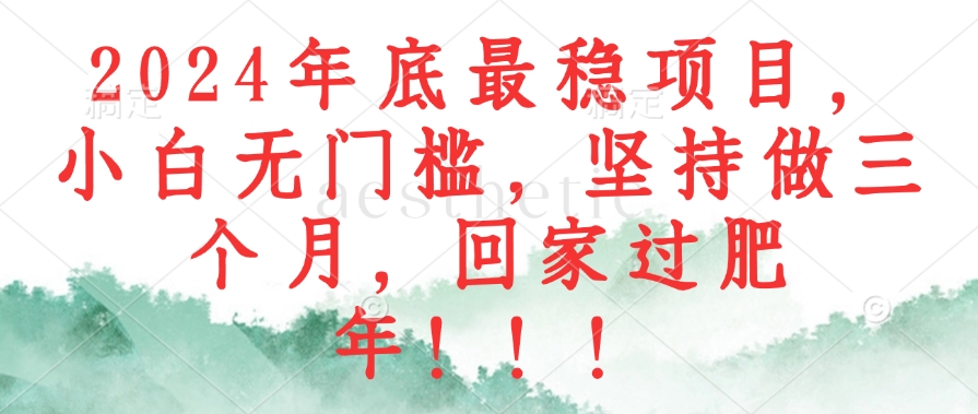 2024年底最稳项目,小白无门槛,坚持做三个月,回家过肥年!!!-猴哥VIP资源站