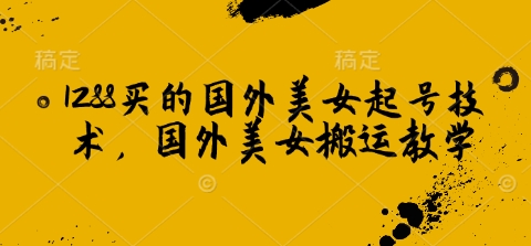 1288买的国外美女起号技术,国外美女搬运教学-猴哥VIP资源站