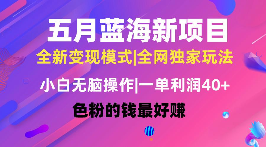 五月蓝海项目全新玩法，小白无脑操作，一天几分钟，矩阵操作，月入4万+-猴哥VIP资源站