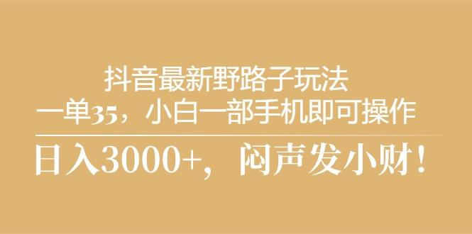 抖音最新野路子玩法，一单35，小白一部手机即可操作，，日入3000+，闷…-猴哥VIP资源站