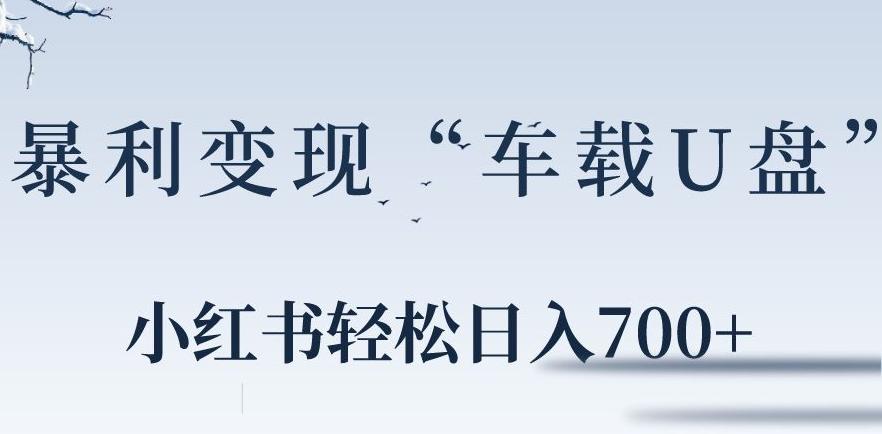 小红书“车载U盘”暴利引流,日入700+-猴哥VIP资源站