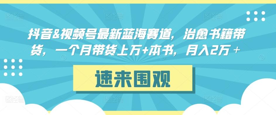 抖音&视频号最新蓝海赛道，治愈书籍带货，一个月带货上万+本书，月入2万＋【揭秘】-猴哥VIP资源站