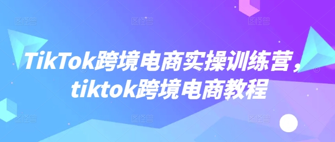 TikTok跨境电商实操训练营,tiktok跨境电商教程-猴哥VIP资源站