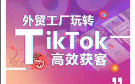 外贸工厂玩转TikTok高效获客，多种引流方式与账号定位技巧，拆解爆款短视频打造成功案例-猴哥VIP资源站