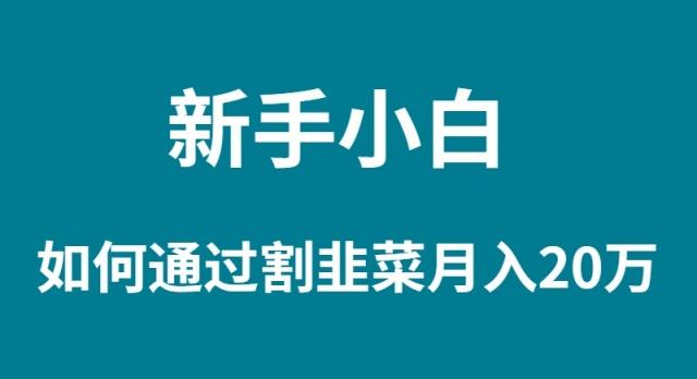 (9308期)新手小白如何通过割韭菜月入 20W-猴哥VIP资源站