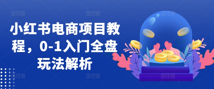 小红书电商项目教程，0-1入门全盘玩法解析-猴哥VIP资源站
