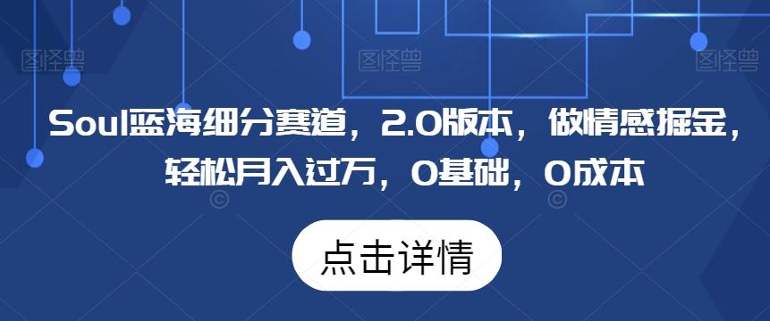 Soul蓝海细分赛道，2.0版本，做情感掘金，轻松月入过万，0基础，0成本-猴哥VIP资源站