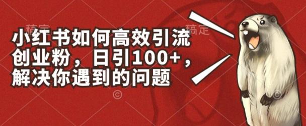 小红书如何高效引流创业粉,日引100+,解决你遇到的问题【揭秘】-猴哥VIP资源站