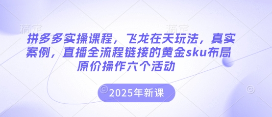拼多多实操课程，飞龙在天玩法，真实案例，直播全流程链接的黄金sku布局原价操作六个活动-猴哥VIP资源站