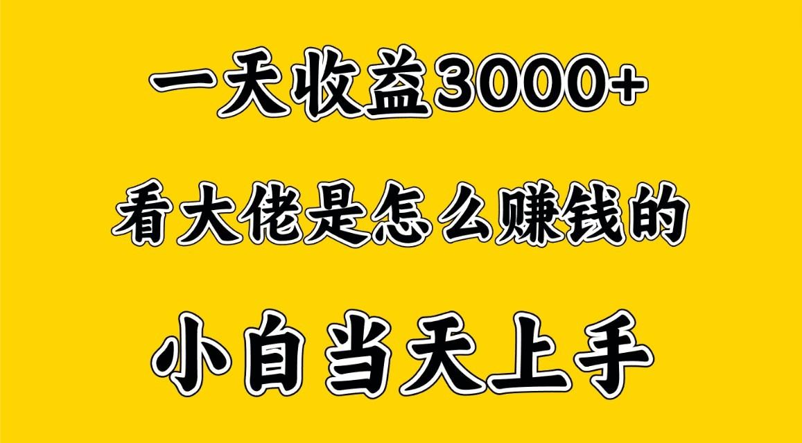 一天赚3000多,大佬是这样赚到钱的,小白当天上手,穷人翻身项目-猴哥VIP资源站