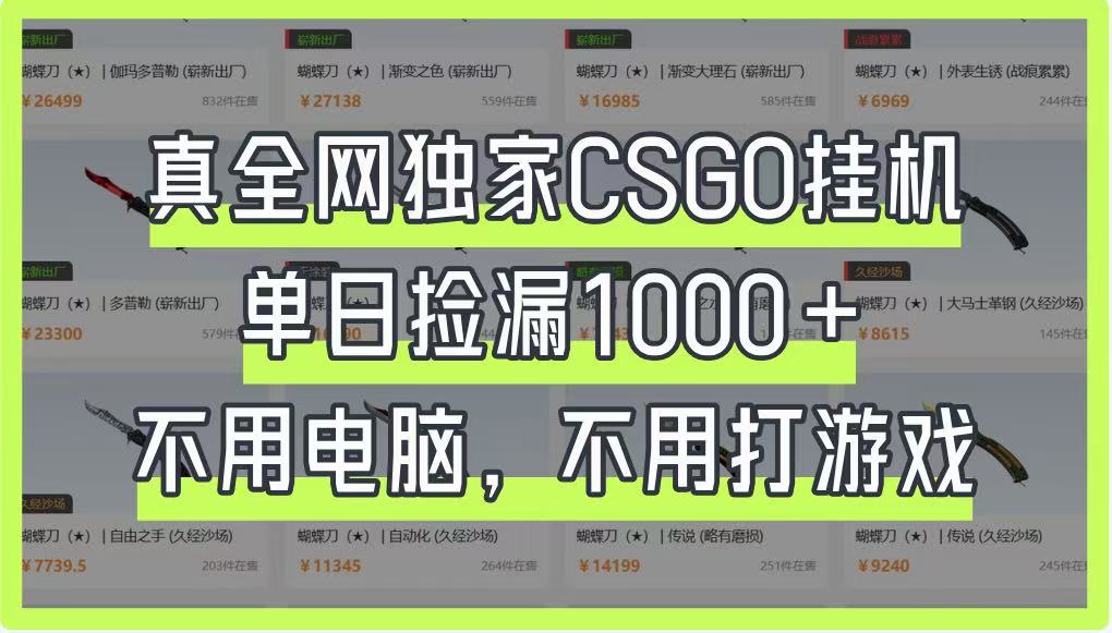 真全网独家CSGO挂机，单日捡漏1000+，不用电脑，不用养号-猴哥VIP资源站