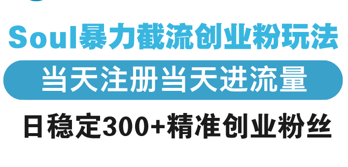 Soul暴力截流创业粉玩法，当天注册当天进流量，日稳定300+精准创业粉丝-猴哥VIP资源站