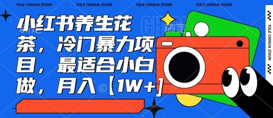 小红书养生花茶，冷门暴力项目，最适合小白做，月入【1W+】-猴哥VIP资源站