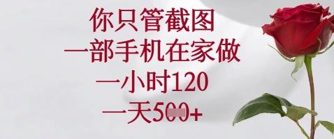 你只管截图，一部手机在家做，苹果安卓都可以，一小时120，一天5张+【揭秘】-猴哥VIP资源站