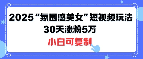 不露脸也能火!2025“氛围感美女”短视频玩法,30天涨粉5W小白可复制-猴哥VIP资源站