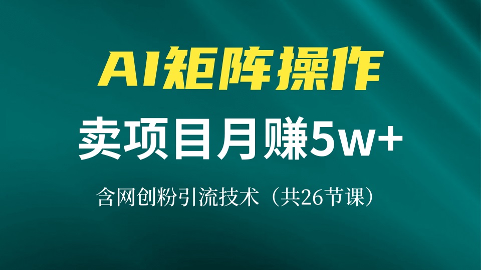网创IP打造课,借助AI卖项目月赚5万+,含引流技术(共26节课-猴哥VIP资源站