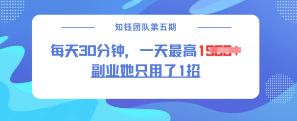 副业她只用了1招,每天30分钟,无脑二创,一天最高1.5k-猴哥VIP资源站