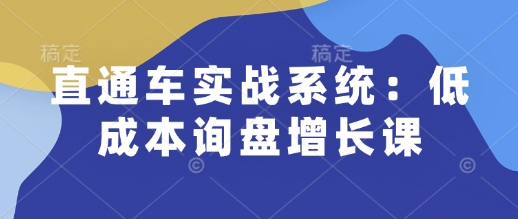 直通车实战系统：低成本询盘增长课，让个人通过技能实现升职加薪，让企业低成本获客，订单源源不断-猴哥VIP资源站