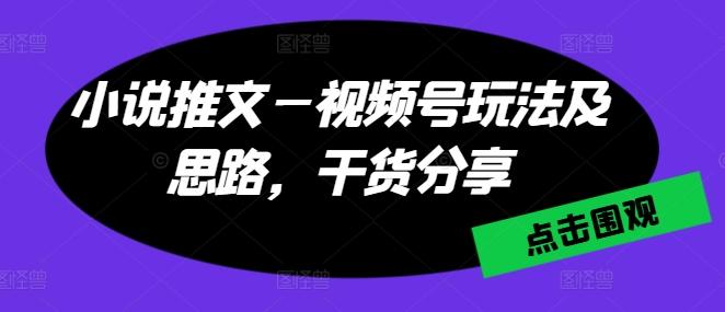 小说推文—视频号玩法及思路，干货分享-猴哥VIP资源站