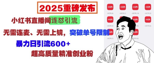 2025重磅发布：小红书直播间连怼引流，无需连麦、无需上镜，突破单号限制，暴力日引流600+-猴哥VIP资源站