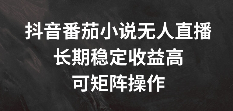 抖音番茄小说无人直播，长期稳定收益高，可矩阵操作【揭秘】-猴哥VIP资源站