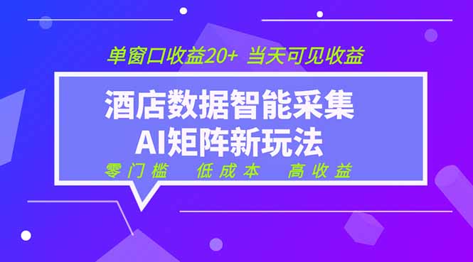 2026酒店数据采集ai智能矩阵新风口 低成本 高收益 当天见收益 单窗口20+-猴哥VIP资源站