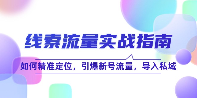 线 索 流 量-实战指南：如何精准定位，引爆新号流量，导入私域-猴哥VIP资源站