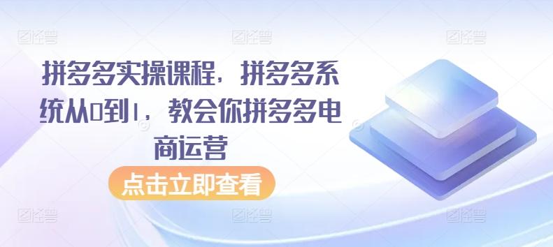 拼多多实操课程，拼多多系统从0到1，教会你拼多多电商运营-猴哥VIP资源站