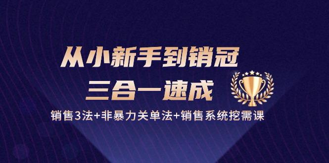 从小新手到销冠 三合一速成：销售3法+非暴力关单法+销售系统挖需课 (27节-猴哥VIP资源站