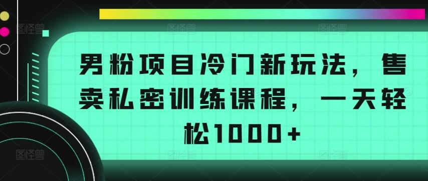 男粉项目冷门新玩法,售卖私密训练课程,一天轻松1000+【揭秘】-猴哥VIP资源站