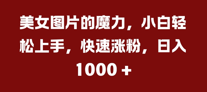 美女图片的魔力，小白轻松上手，快速涨粉，日入几张【揭秘】-猴哥VIP资源站