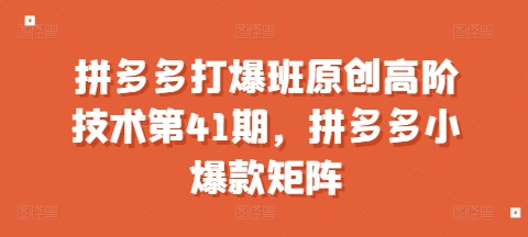 拼多多打爆班原创高阶技术第41期，拼多多小爆款矩阵-猴哥VIP资源站