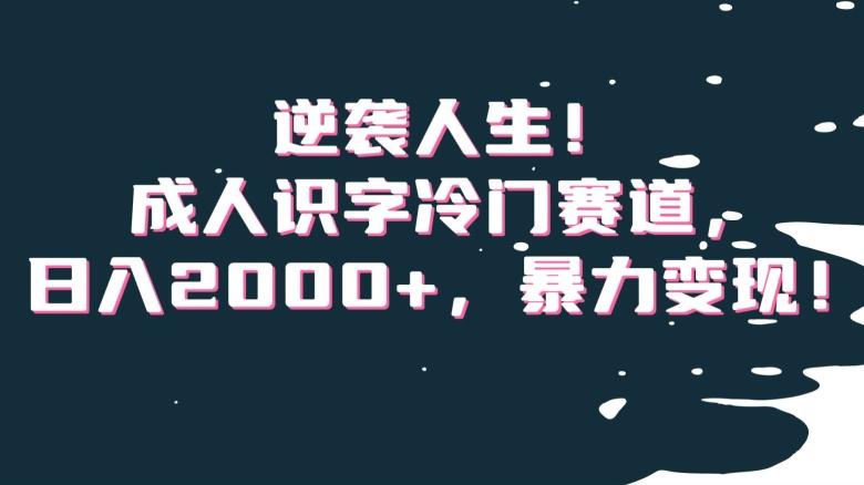逆袭人生！成人识字冷门赛道，日入2000+，暴力变现！【揭秘】-猴哥VIP资源站