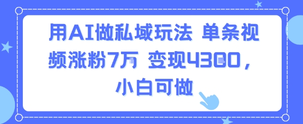 用AI做私域玩法，单条视频涨粉7W变现4.3k，小白可做-猴哥VIP资源站
