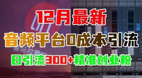 12月最新：音频平台0成本引流，日引流300+精准创业粉-猴哥VIP资源站