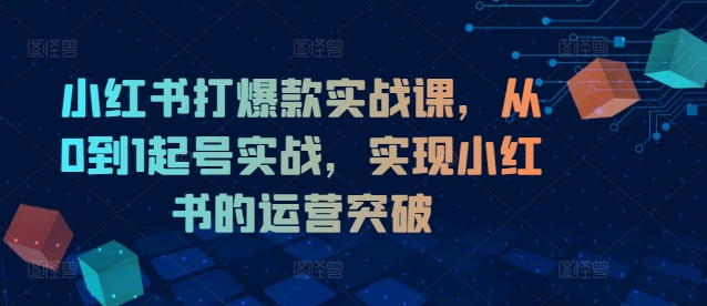 小红书打爆款实战课，从0到1起号实战，实现小红书的运营突破-猴哥VIP资源站