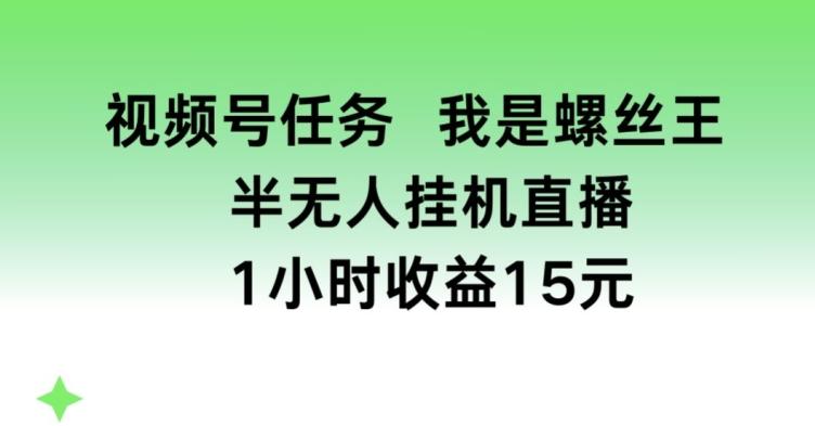 视频号任务，我是螺丝王， 半无人挂机1小时收益15元【揭秘】-猴哥VIP资源站