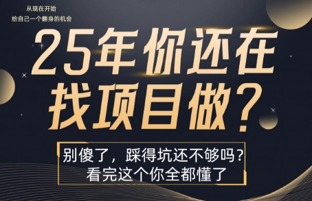 25年,你还在疯狂的找项目吗?别傻了,看完这个你都懂了【揭秘】-猴哥VIP资源站