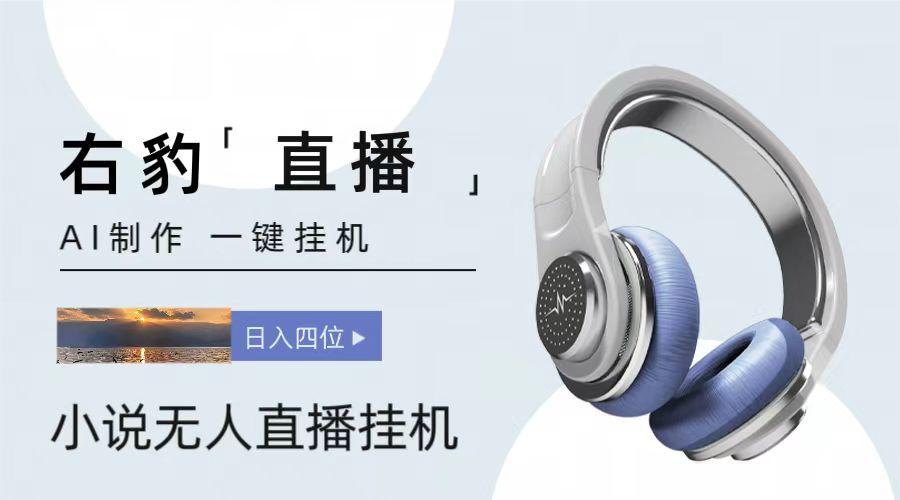 右豹小说无人直播挂机吸金项目，简单易行收益稳定， 月入1000+-猴哥VIP资源站