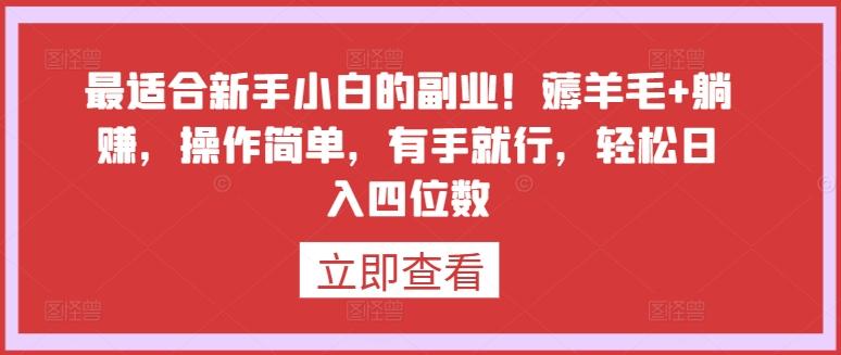 最适合新手小白的副业！薅羊毛+躺赚，操作简单，有手就行，轻松日入四位数【揭秘】-猴哥VIP资源站