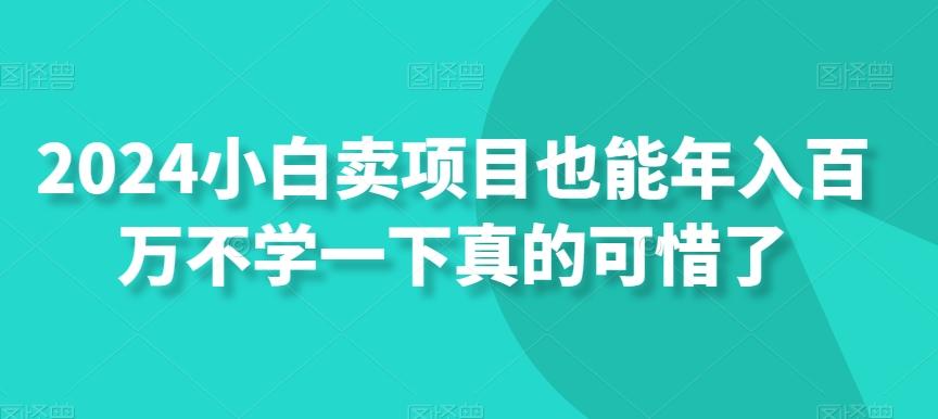 2024小白卖项目也能年入百万不学一下真的可惜了-猴哥VIP资源站