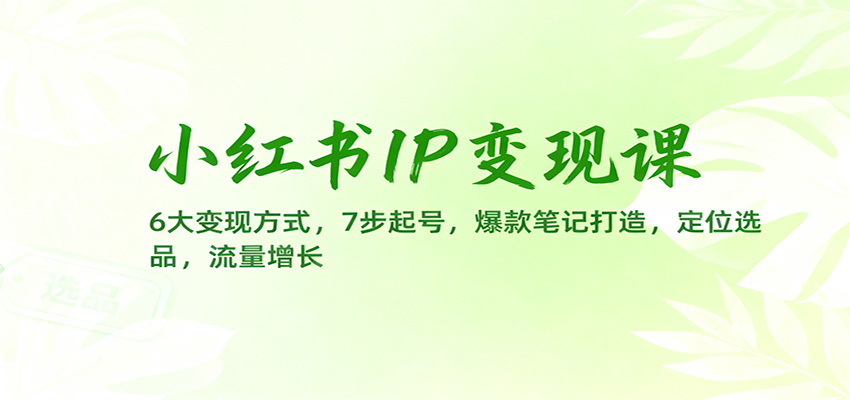 小红书IP变现课：6大变现方式，7步起号，爆款笔记打造，定位选品，流量增长-猴哥VIP资源站