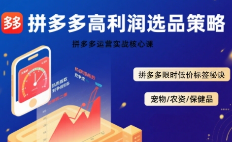 拼多多选品暴利技术实战课,拼多多高利润选品策略,拼多多限时低价标签秘诀-猴哥VIP资源站