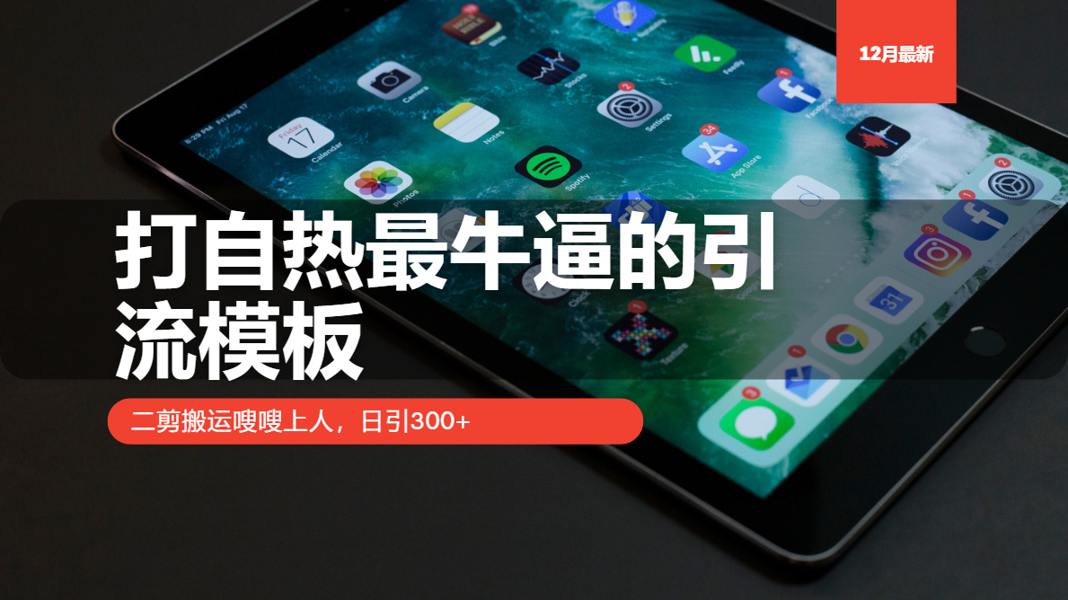 打自热最牛逼的引流模板，二剪搬运嗖嗖上人，日引300+-猴哥VIP资源站