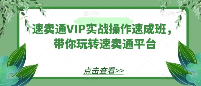 速卖通VIP实战操作速成班,带你玩转速卖通平台-猴哥VIP资源站