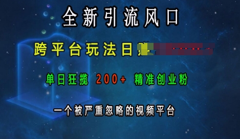 全新引流风口,跨平台玩法日入上k,单日狂揽200+精准创业粉,一个被严重忽略的视频平台-猴哥VIP资源站