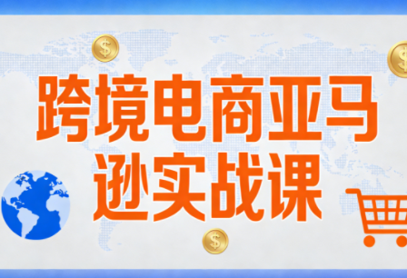 丝丝老师·跨境电商亚马逊实战课(更新2月)-猴哥VIP资源站