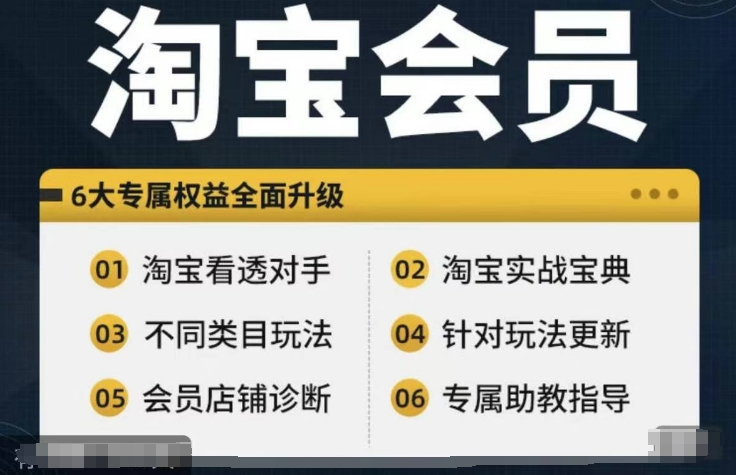 淘宝会员【淘宝所有课程，全面分析对手】，初级到高手全系实战宝典-猴哥VIP资源站